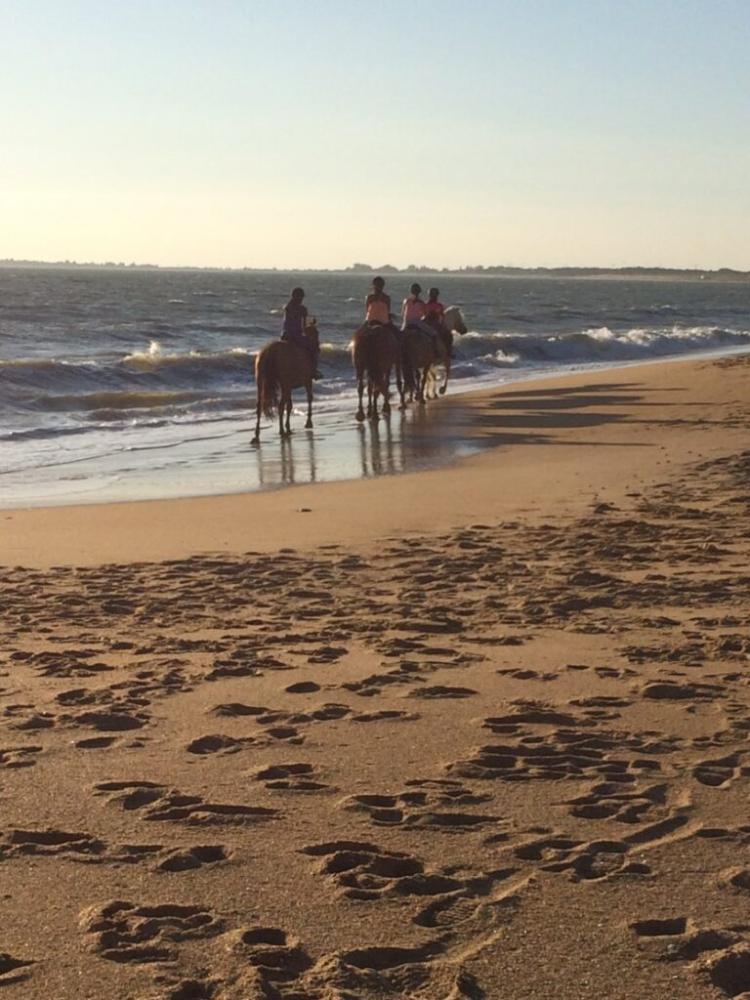 plage