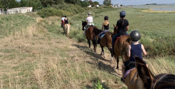 Balade à cheval à L'Aiguillon-la-Presqu'île